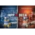 NPP vs Deca: Fast 19-Nor or Long Mass Builder?