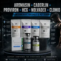 Aromasin + Caberlin + Proviron + HCG + Nolvadex + Clomid — Intermediate On-Cycle & PCT Stack