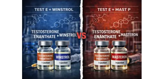 Test E + Winstrol vs Test E + Mast P – Dryness or Detail?